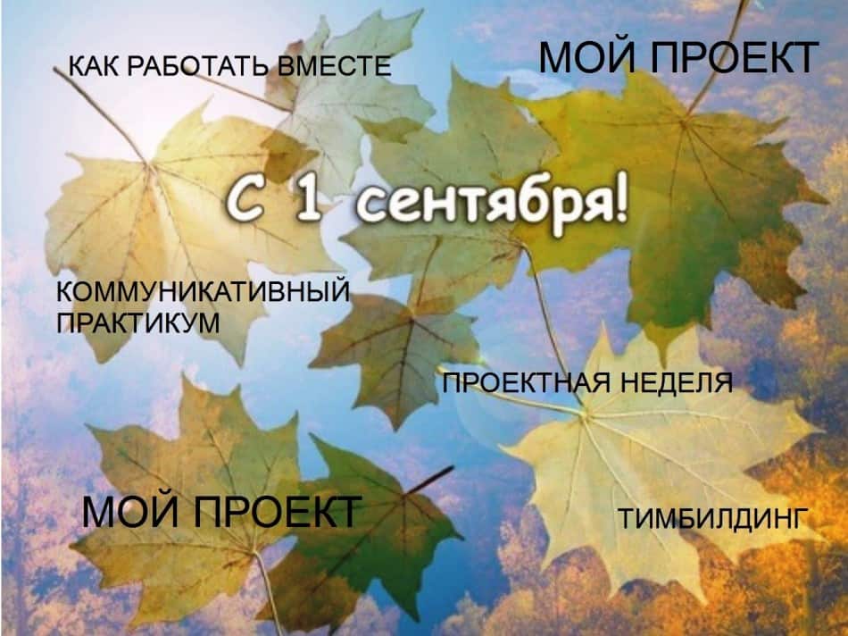 Светлана Артемьева