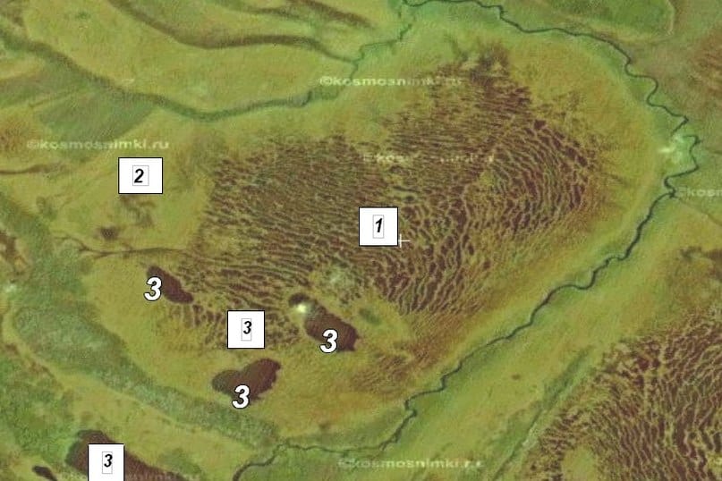 Координаты болота. Грядово озерковые болота. Верховые болота на космоснимке. Озерково-грядово мочажинное болото. Грядово мочажинные болота на космоснимке.