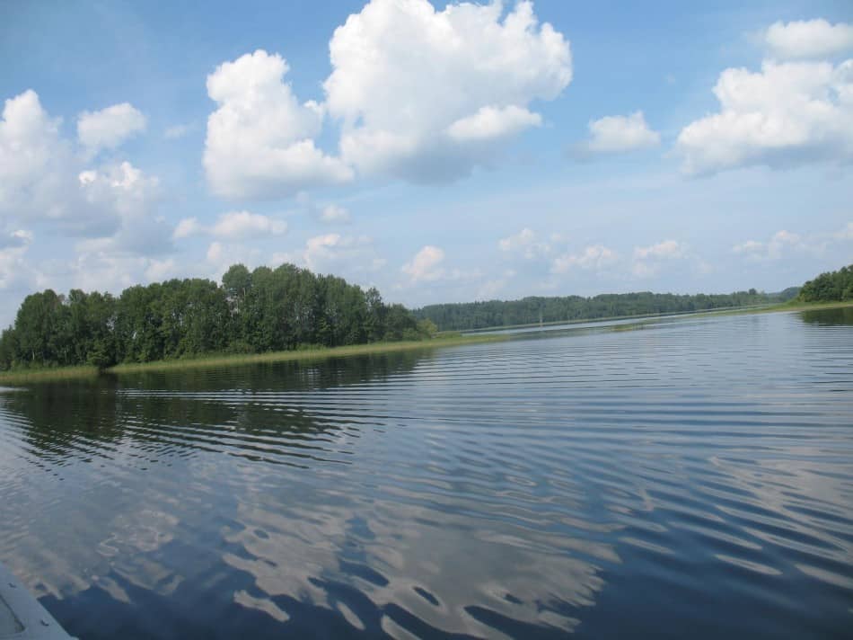 Фото Натальи Мешковой