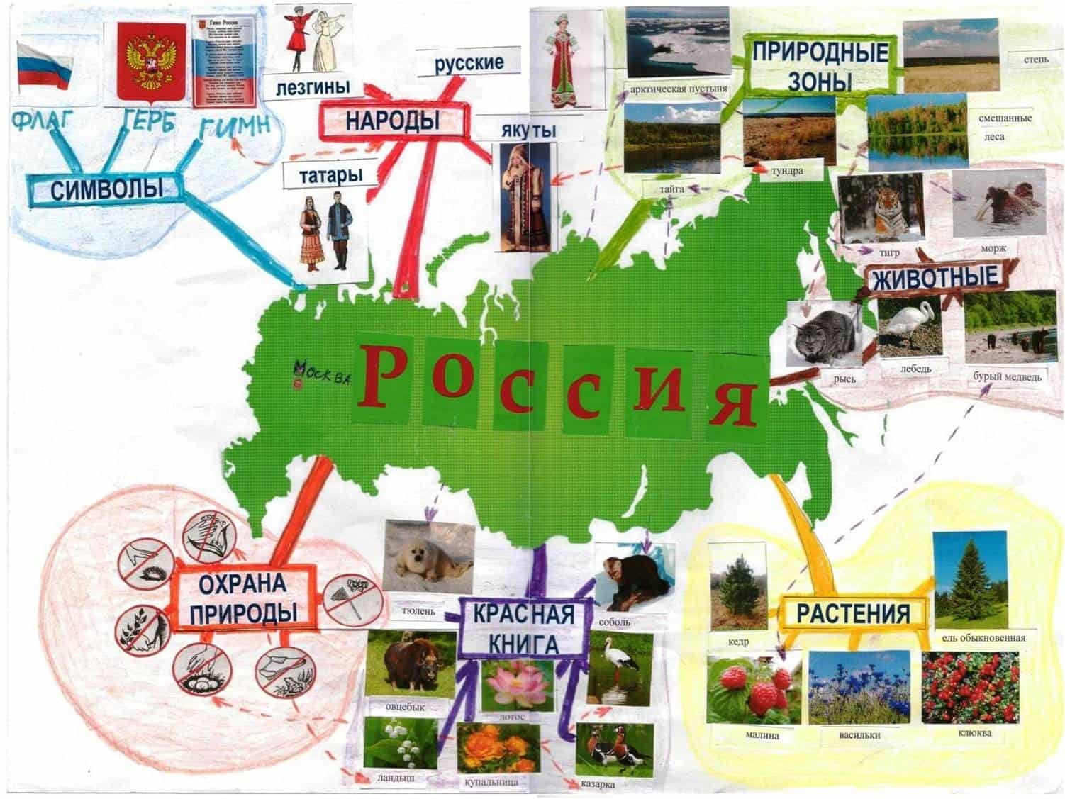 Интеллект карта по географии 9 класс западная сибирь