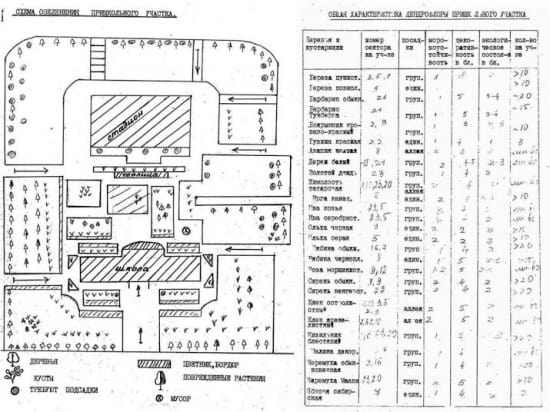 shool45_13