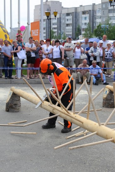 В рамках празднования Дня Республики состоялись итоговые выступления вальщиков леса «Лесоруб-2014»