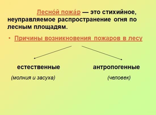 слайд 7