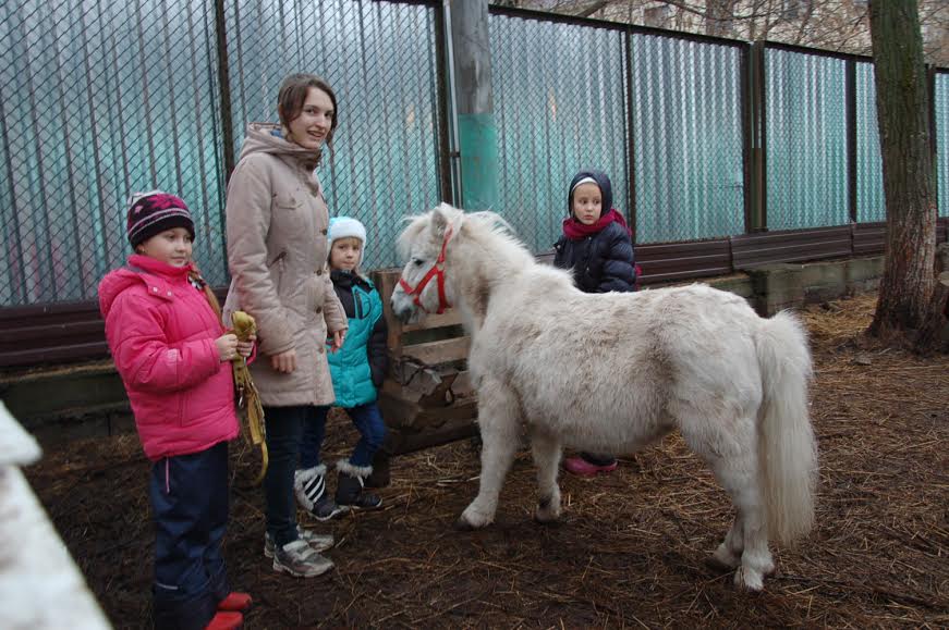 Депутаты здесь не ходят