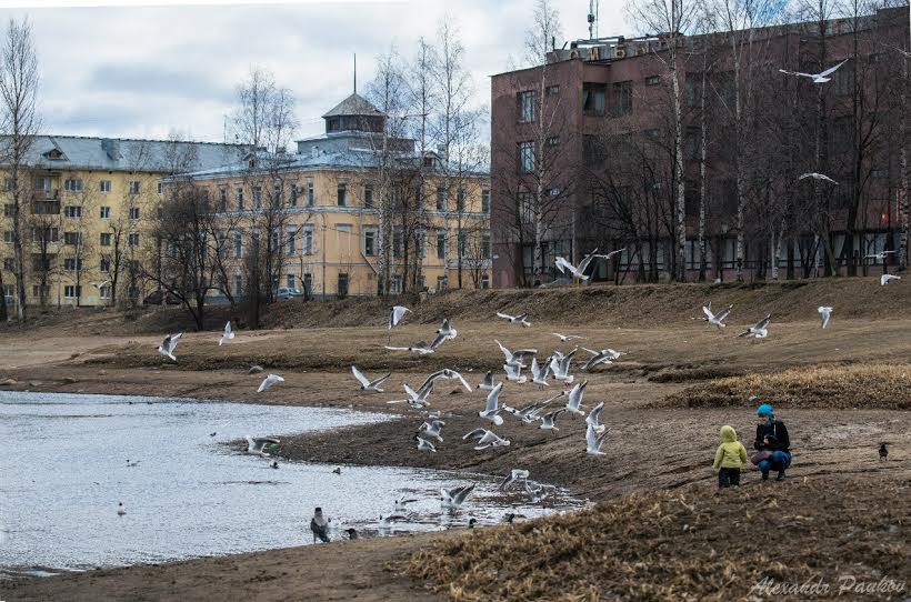 Диваны на заводской в петрозаводске на