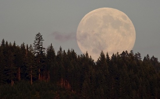 Sept. 22, 2010 - Roseburg, Oregon, U.S - The harvest moon rises from behind a ridge in rural Douglas County near Roseburg. The full moon nearest the autumnal equinox is known as the harvest moon. This year the event is being called the ''super harvest moon'' because the full moon coincides with the equinox which has not occurred for 20 years. (Credit Image: © Robin Loznak/ZUMApress.com)