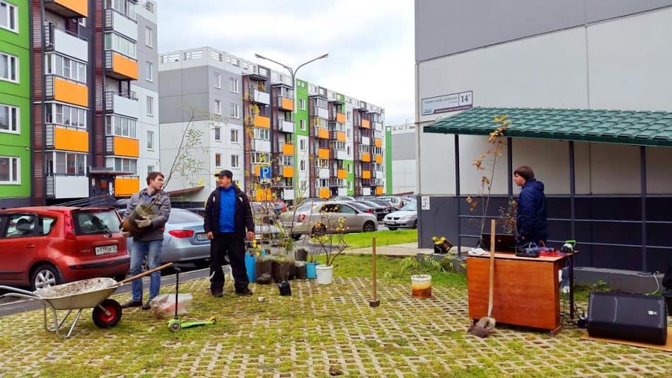 Акция по посадке деревьев в Городе Солнца, Петрозаводск. Фото Натальи Козловской