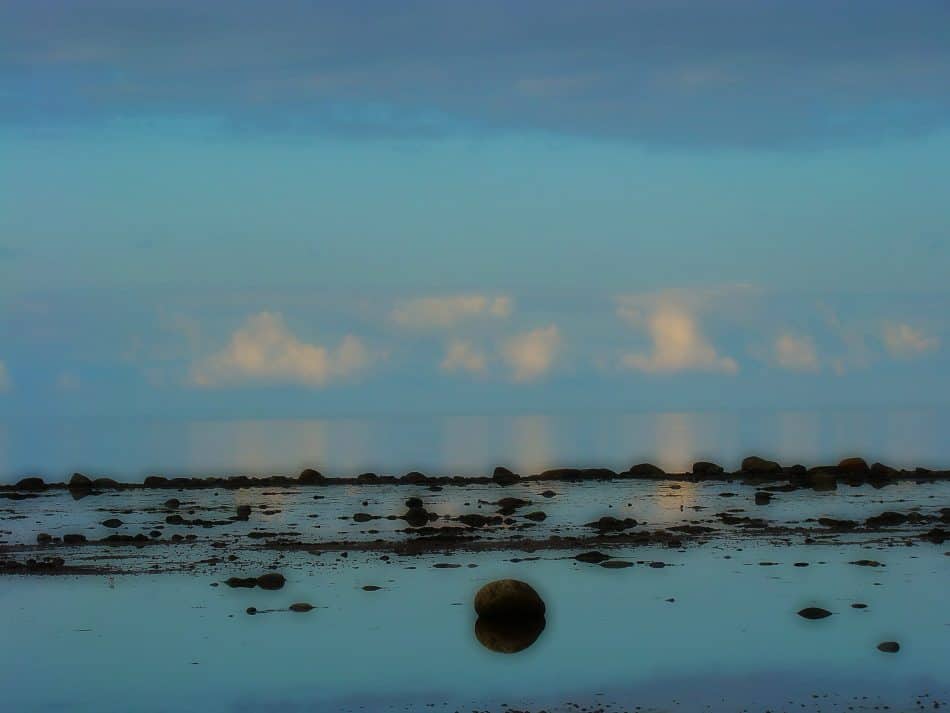 Белое море. Фото Ирины Ларионовой