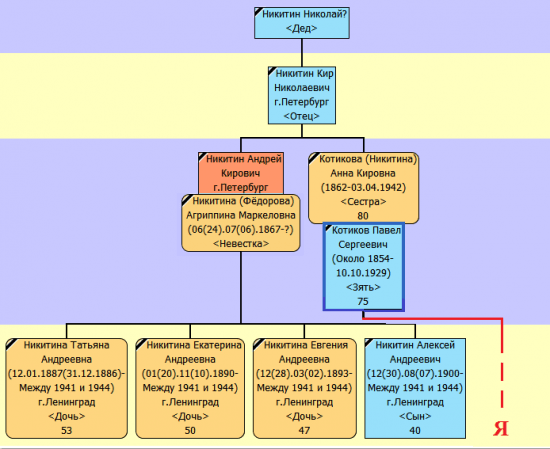 Дерево Никитиных пока совсем небольшое...