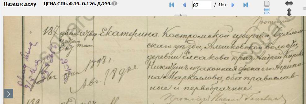 Крёстные маленькой Кати Никитиной. Метрическая запись Казанского собора о рождении 1890 года.