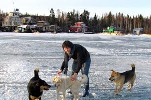 Большое северное путешествие Алисон Маккриш