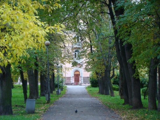 Левашовский бульвар в Петрозаводске. фото Ю.Свинцовой