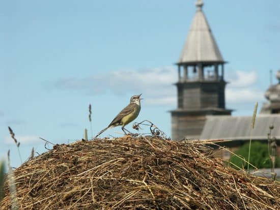 «Береги землю родимую, как мать любимую»