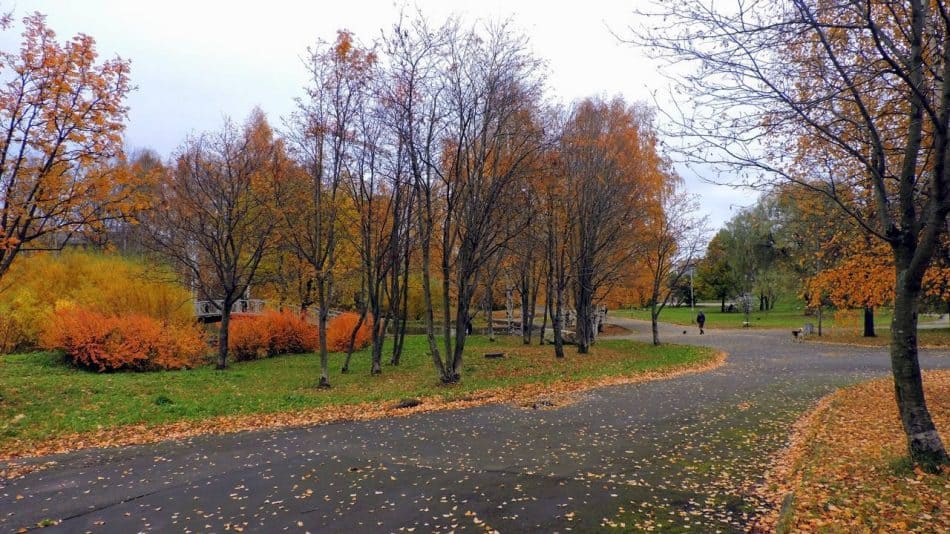 Парк на Неглинке, 2015 год. Фото: Наталья Прохорова