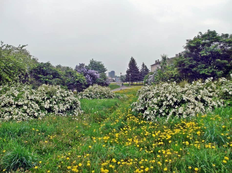 Парк на Неглинке, 2014 год. Фото: Андрей Барабанов