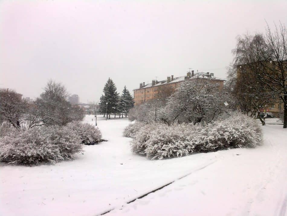 Парк на Неглинке, 2015 год. Фото: Марк Заозерный