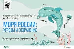 Учителей Карелии приглашают провести экоурок «Моря России»