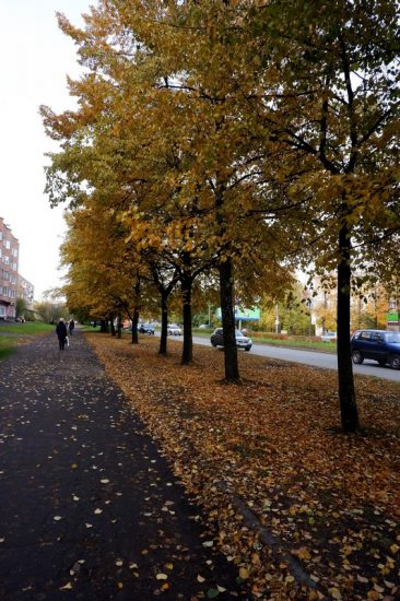 Петрозаводск, Октябрьский проспект. Фото Ирины Ларионовой