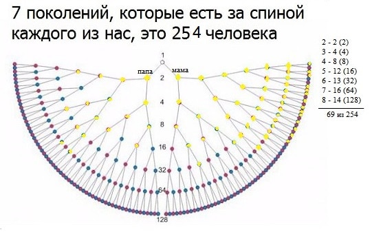 7 поколений