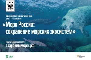 Учителя Карелии расскажут школьникам о сохранении морских экосистем