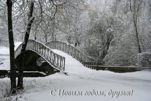 Фото Ирины Ларионовой