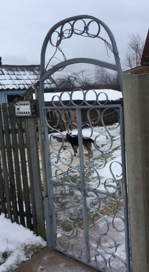 В Соломенном. Фото Яны Жемойтелите