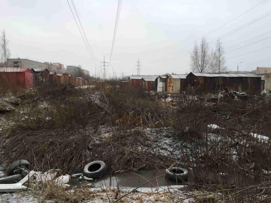 В Петрозаводске. Фото Яны Жемойтелите