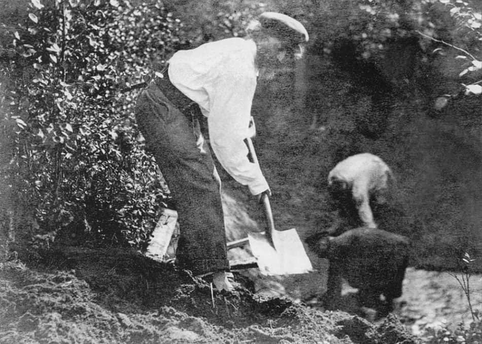 И. Е. Репин копает землю для будущего пруда. Фотография Н. Б. Нордман, 1899 год