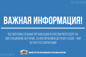 Все образовательные организации Карелии переходят на дистанционное обучение с 7 по 30 апреля