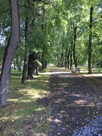 Левашовский бульвар в наши дни. Фото: Яна Жемойтелите