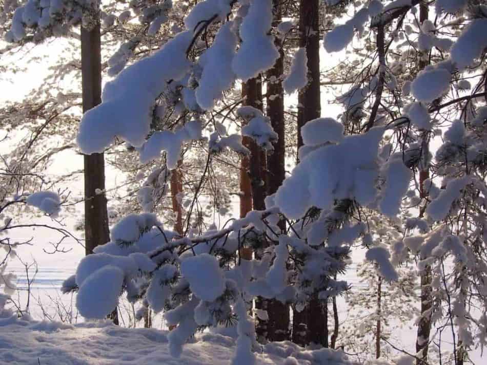 Всем хорошего отдыха! Фото Ирины Ларионовой