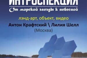 В Петрозаводске покажут лэнд-арт инсталляции московских художников