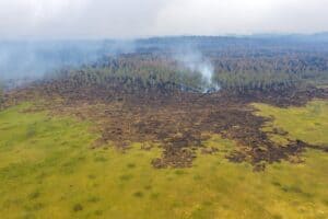 Лесные пожары в Карелии. Июль 2021 года. Фото Ильи Тимина