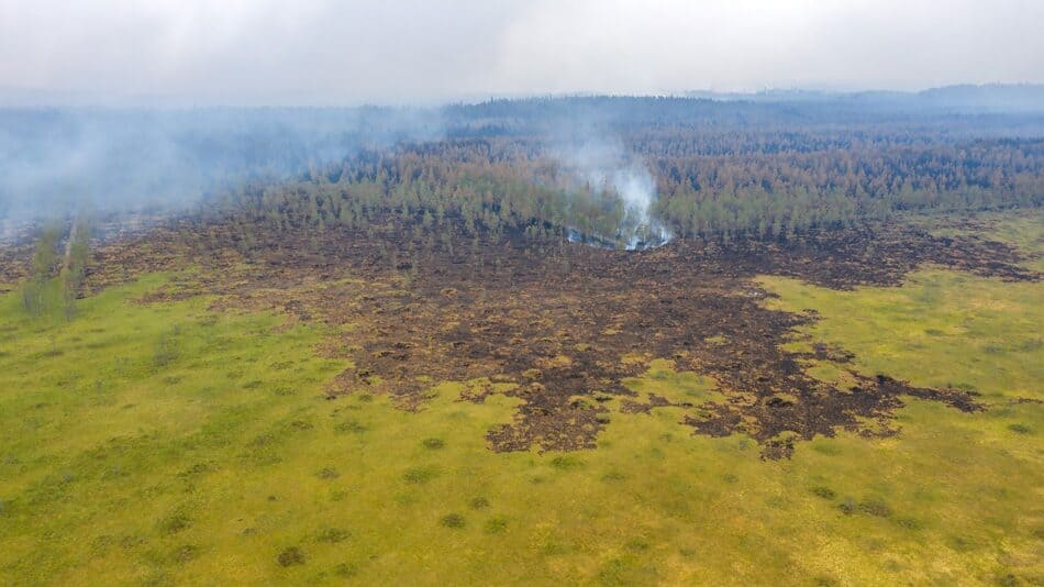 Лесные пожары в Карелии. Июль 2021 года. Фото Ильи Тимина